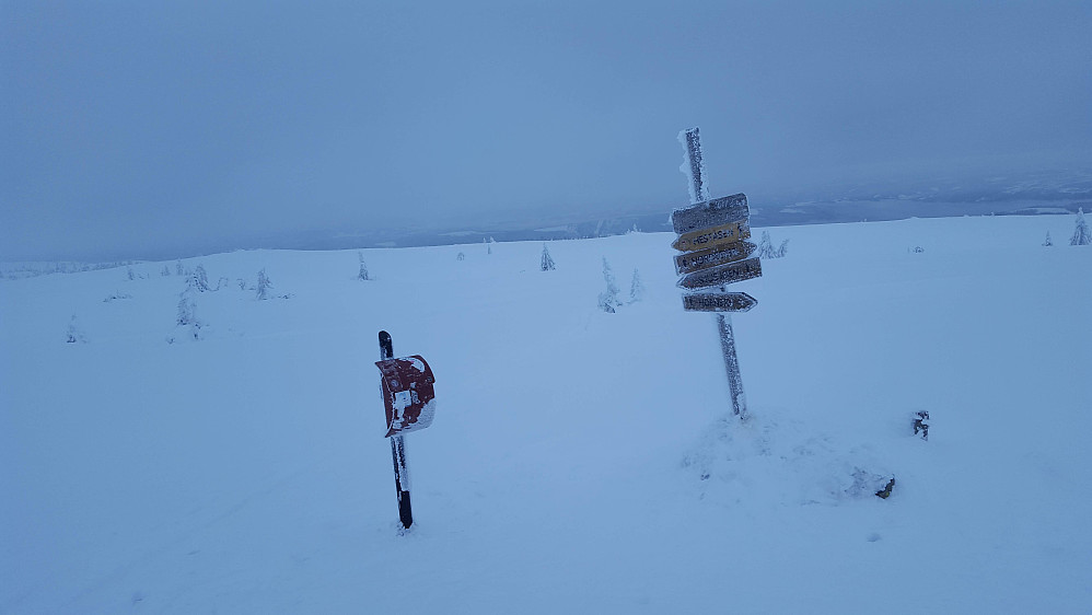 På Lunkefjell