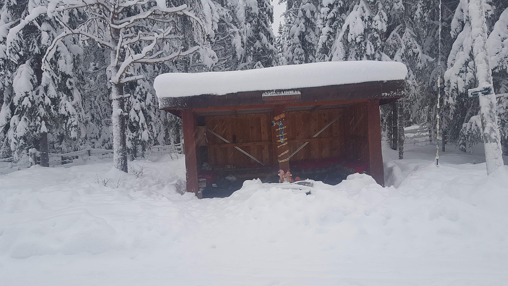 På Kanthaugen