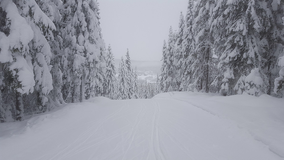 På Kanthaugen