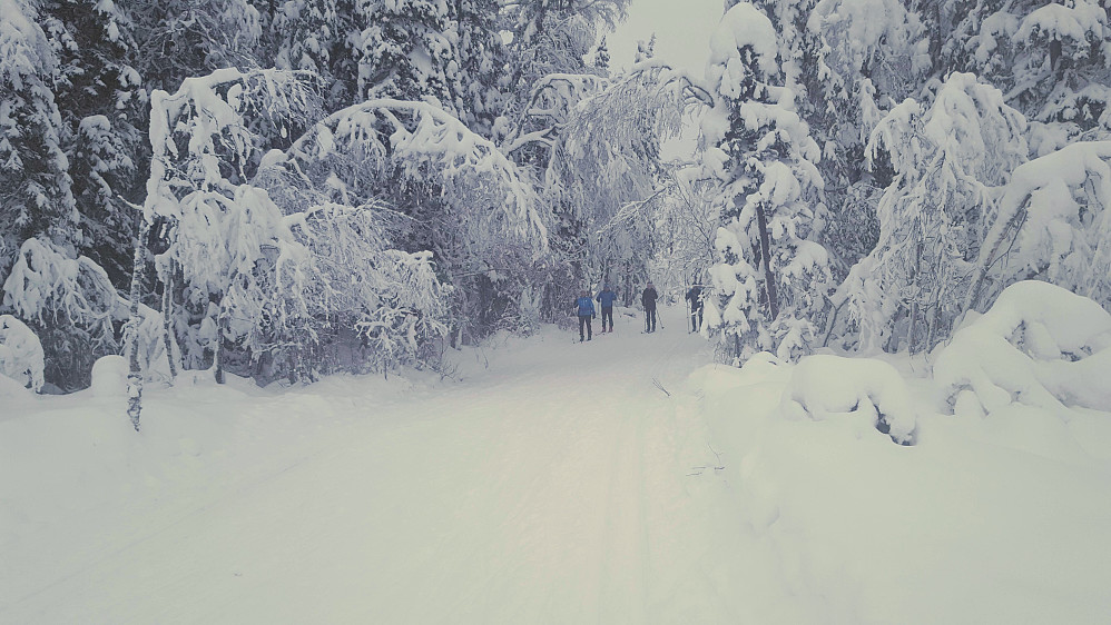 Oppover mot Kubrua