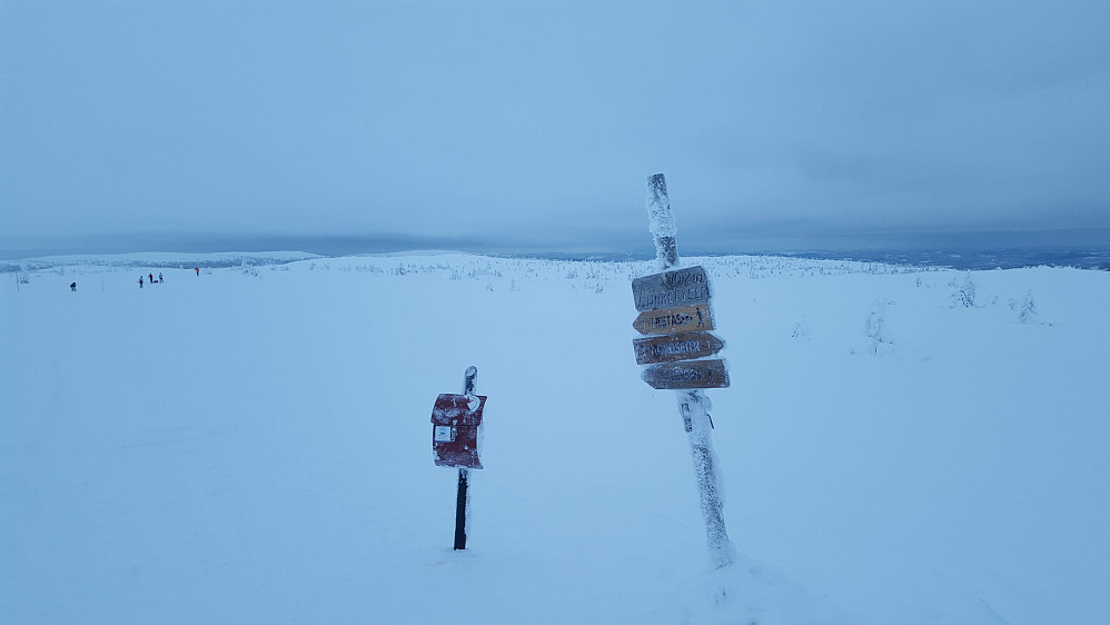 På Lunkefjell