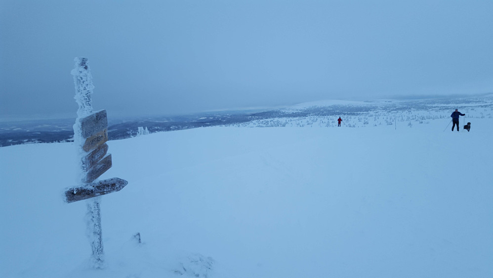 På Lunkefjell