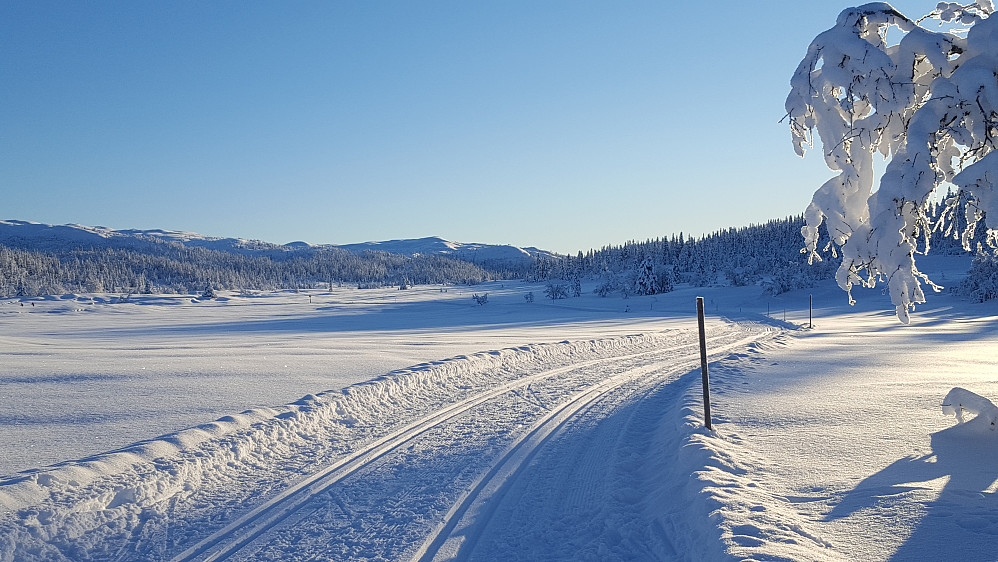 I Kjettberbløypa
