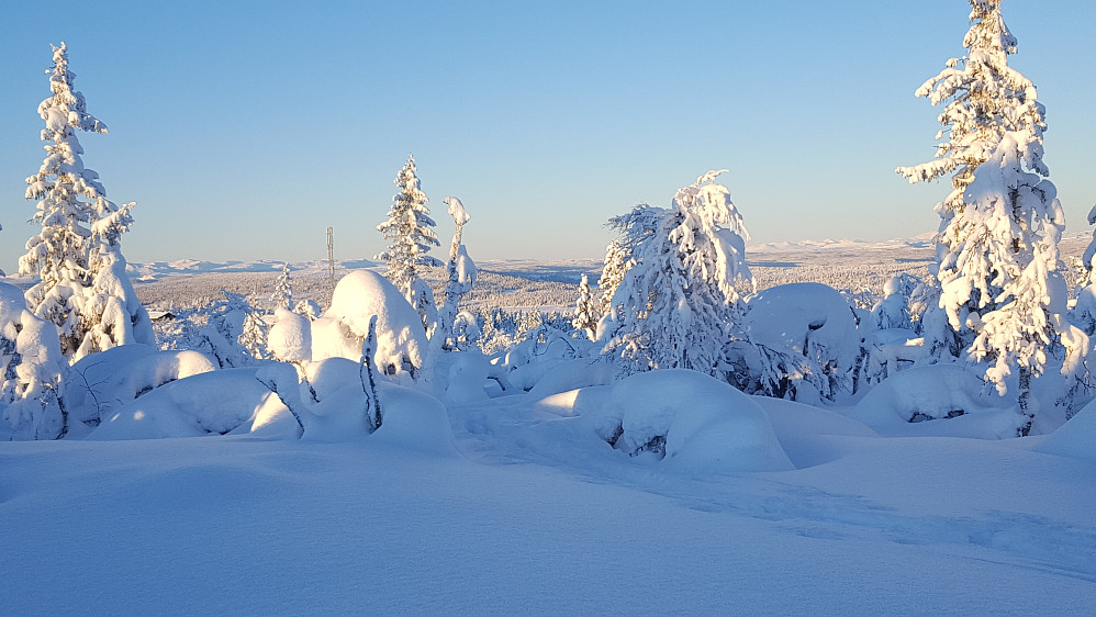 På Værskeitoppen
