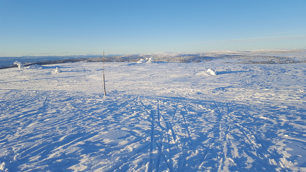 På Mostfjell