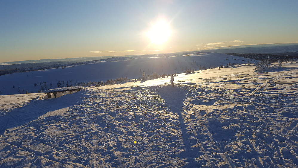 På Mostfjell