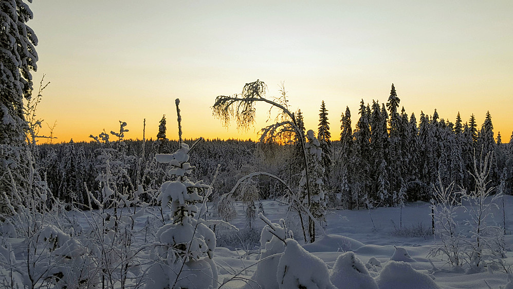 Fra Birkebeinerløypa