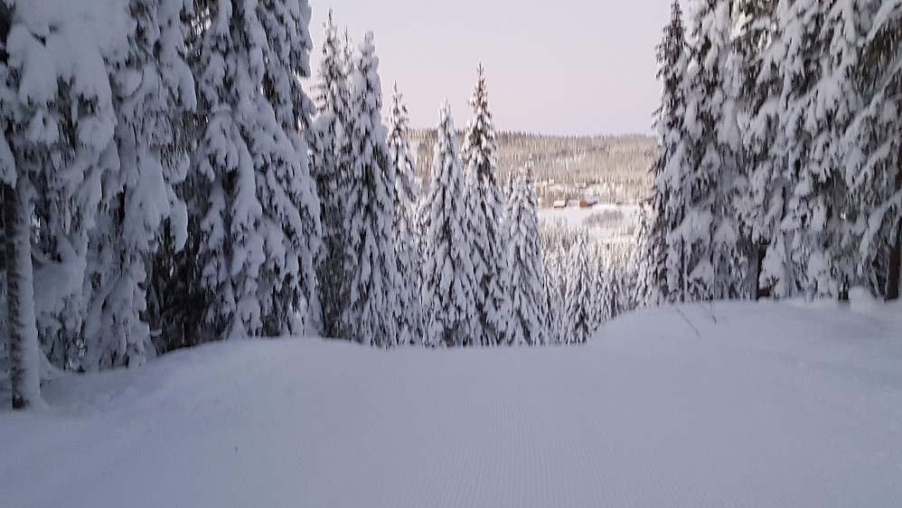 På Kanthaugen