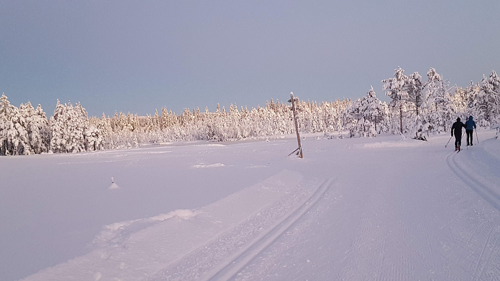 På Bottilmyra