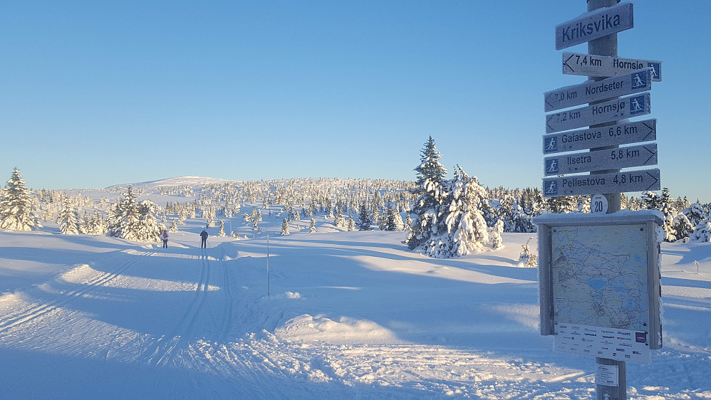 Har nettopp snudd ved løypekrysset i Kriksvika, ser mot Kriksfjell