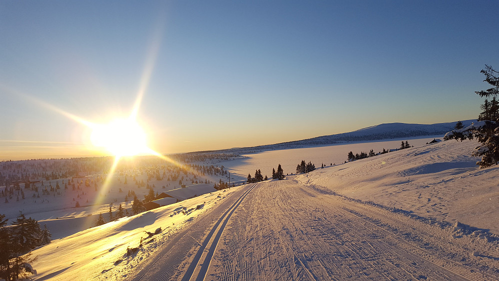 På Reinakrysset