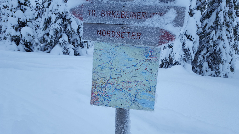 Snudde ved dette løypekrysset