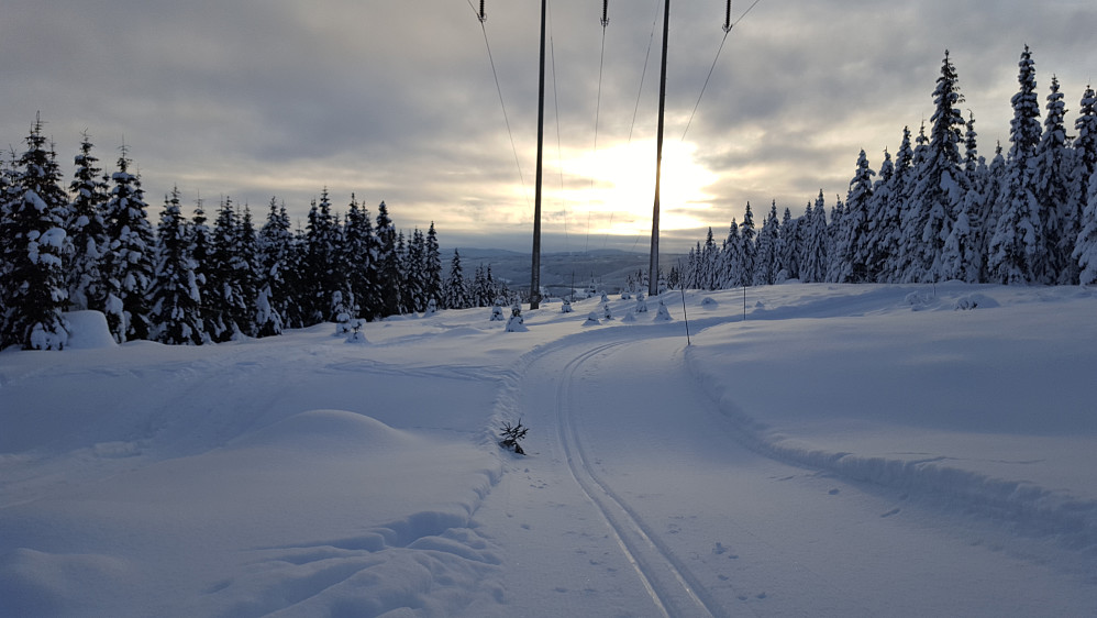 På Saksumsdalskjølen