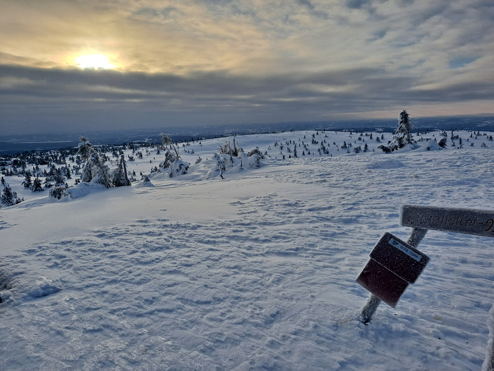 På Sjusjøfjellet