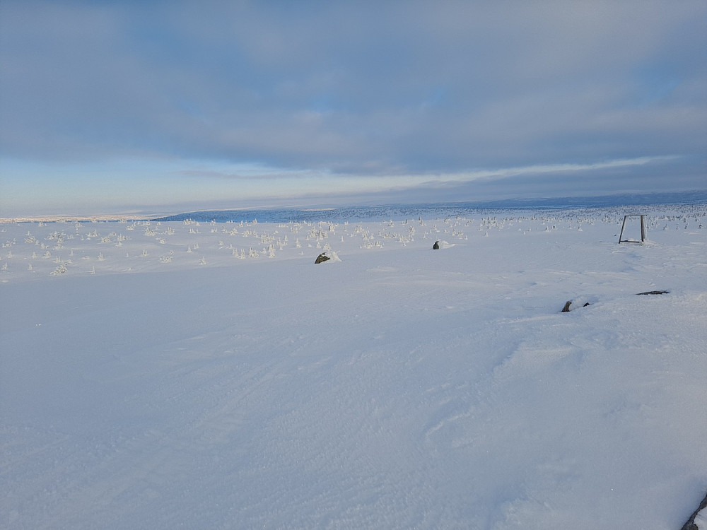 På Sjusjøfjellet øst