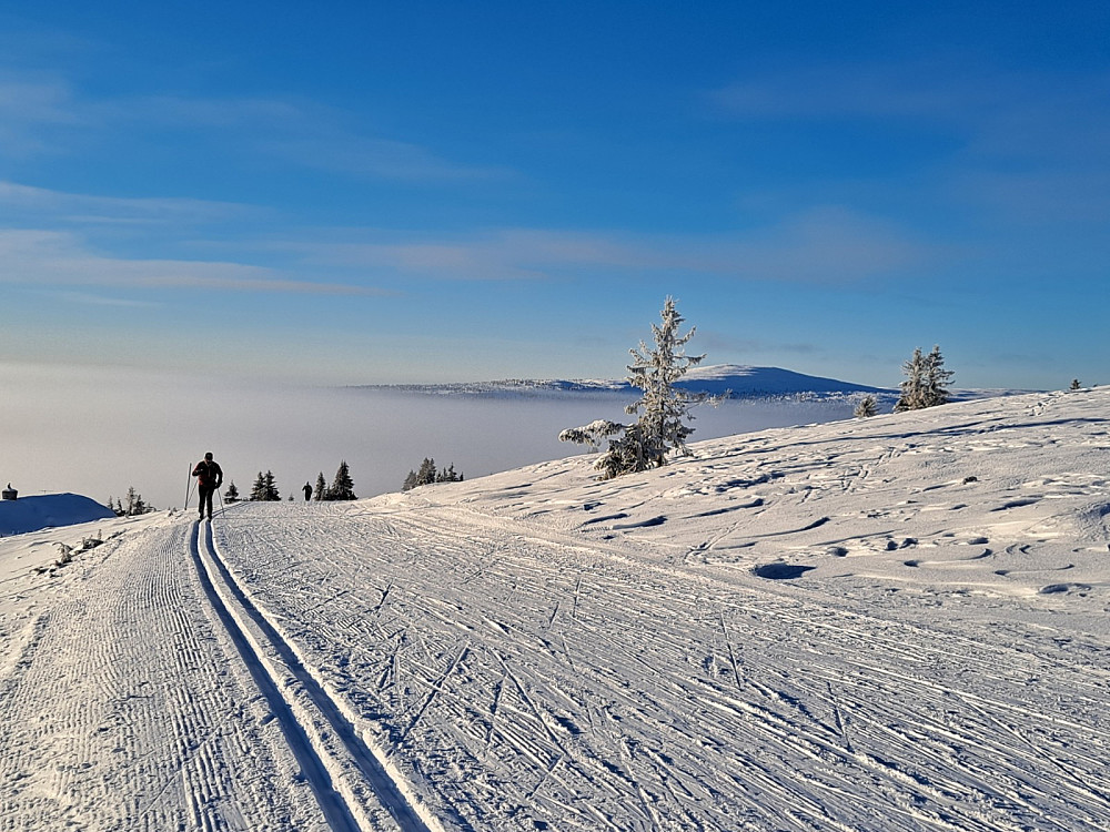 På Reinakrysset