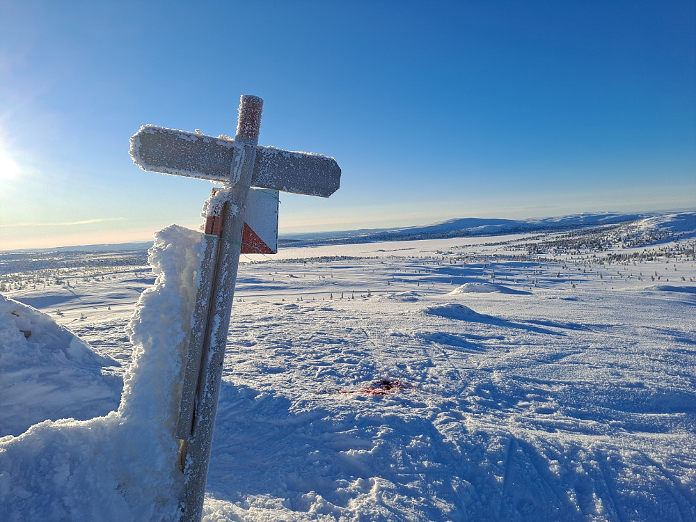 På Kriksfjellet