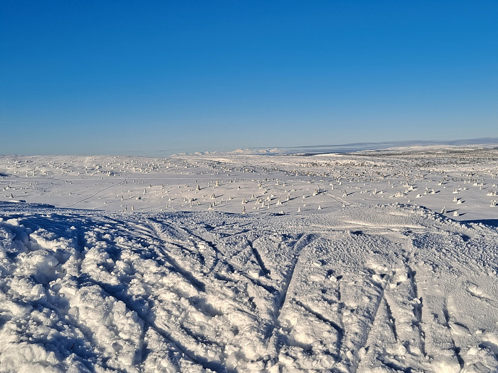 På Kriksfjellet, mot Rondane