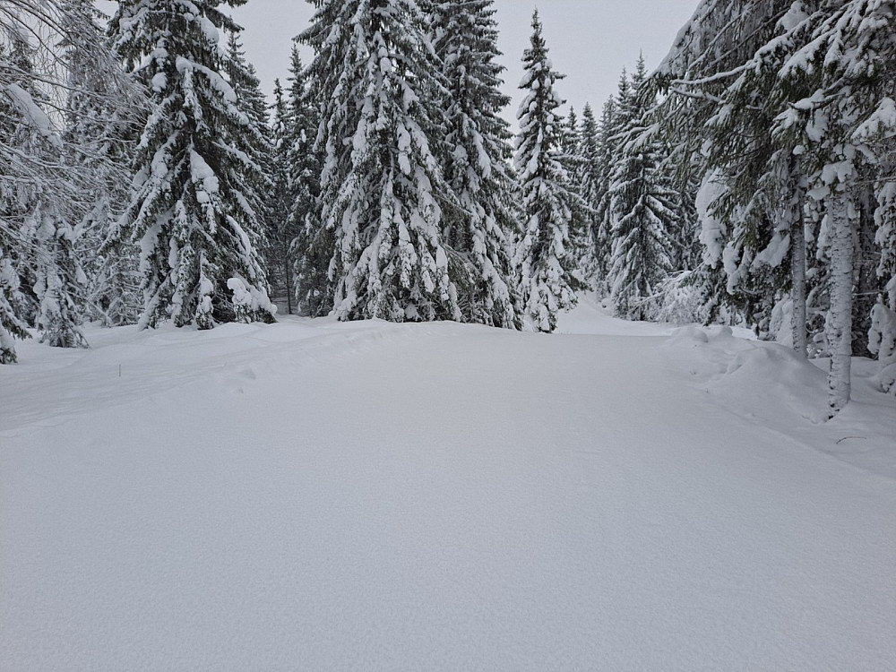 På Kanthaugen