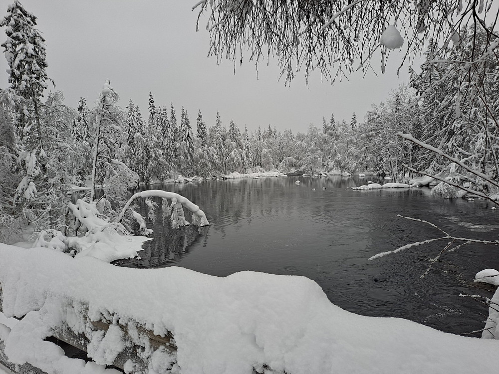 Mesnaelva ved Mesnasaga