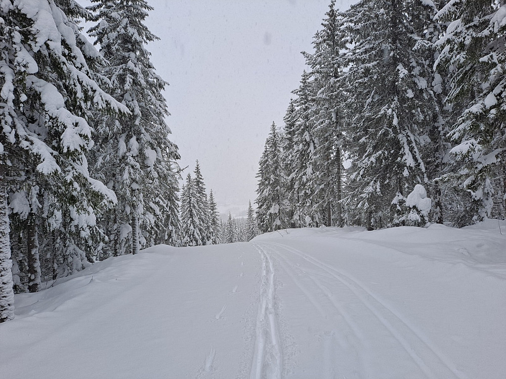 På Kanthaugen