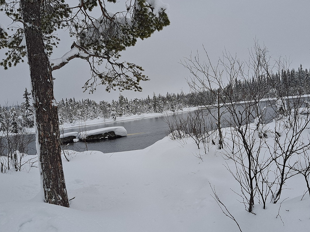 Mesnaelva ved Bottilflø