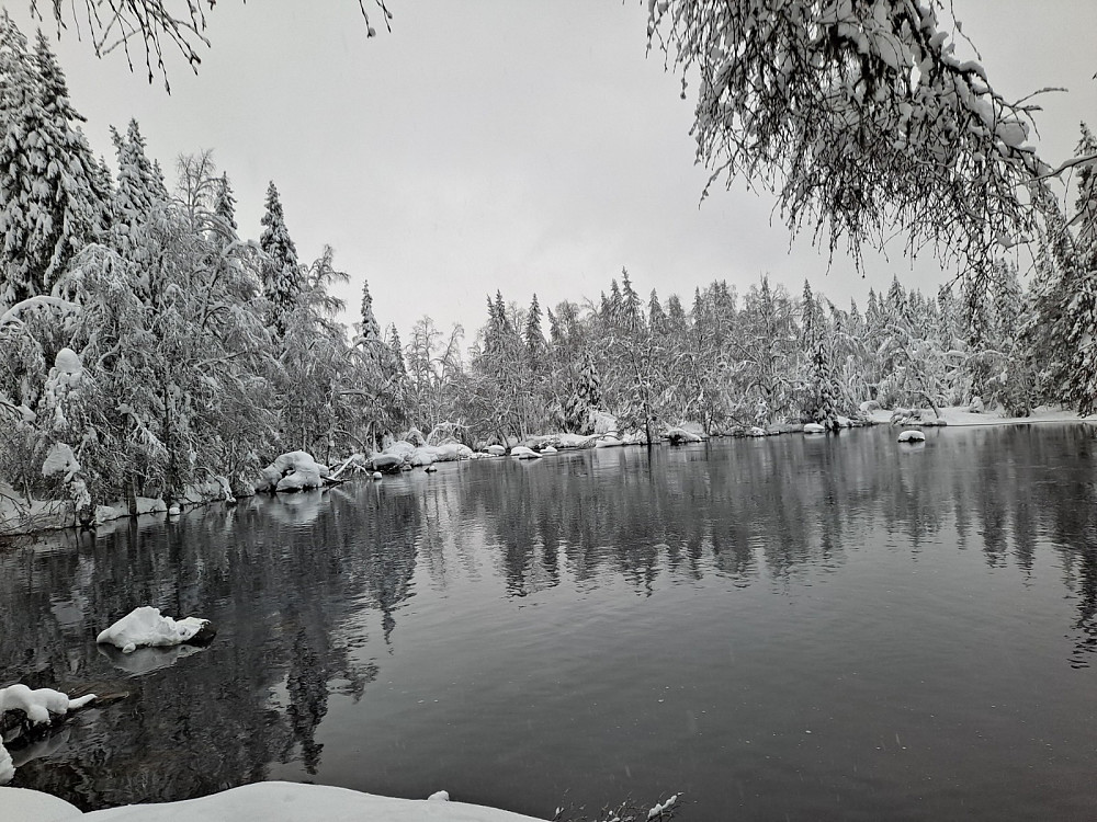 Mesnaelva ved Mesnasaga