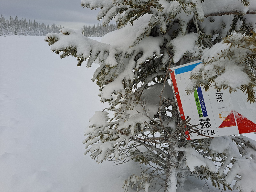 Post i Skijeger’n i løypa oppover