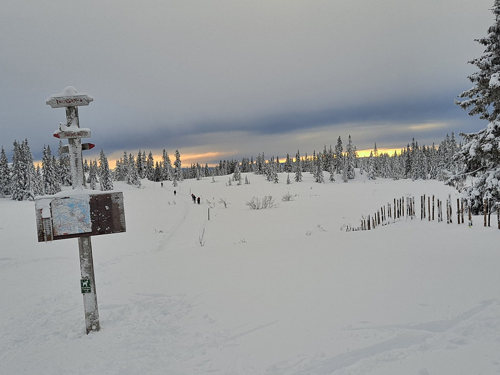 Løypekrysset på Trondsmyra