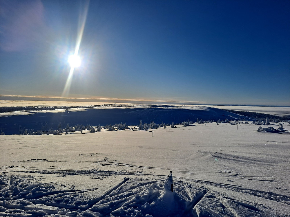 På Mostfjell