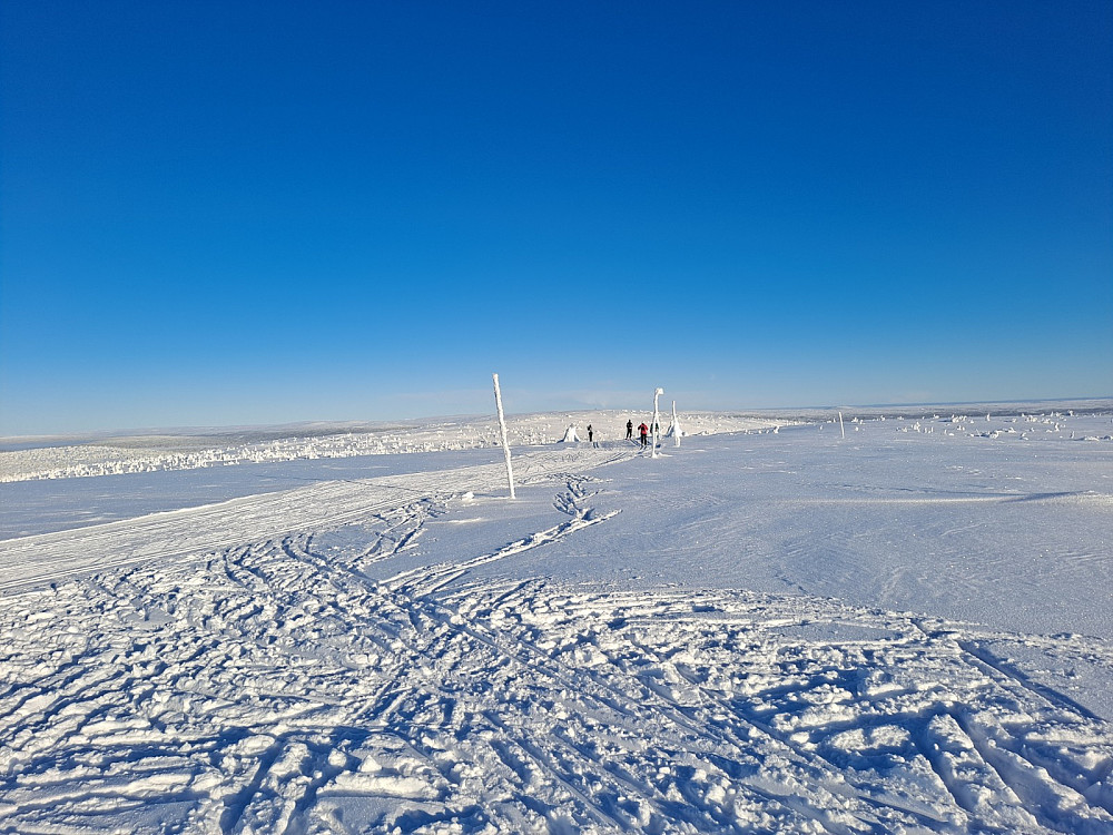 På Mostfjell