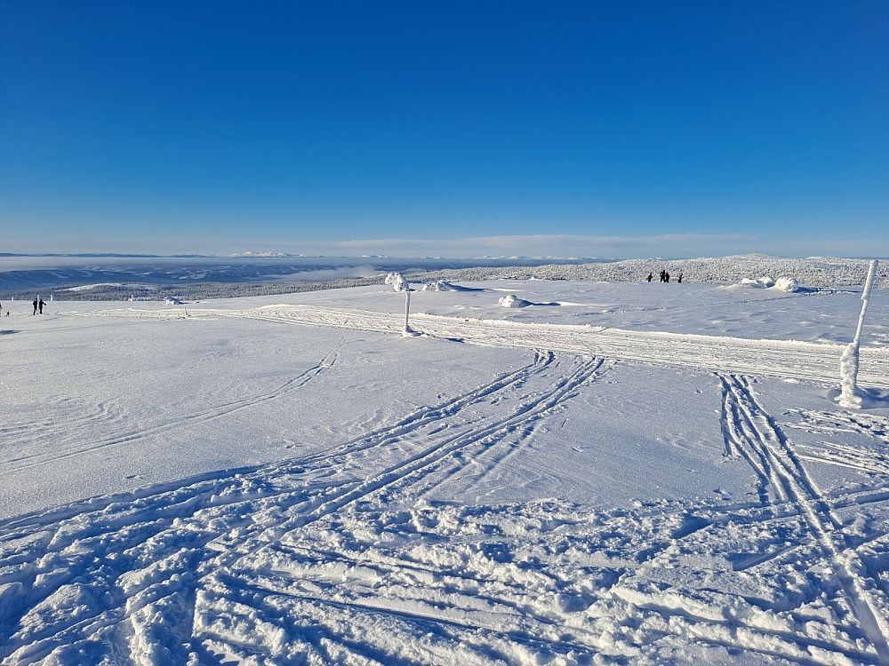 På Mostfjell