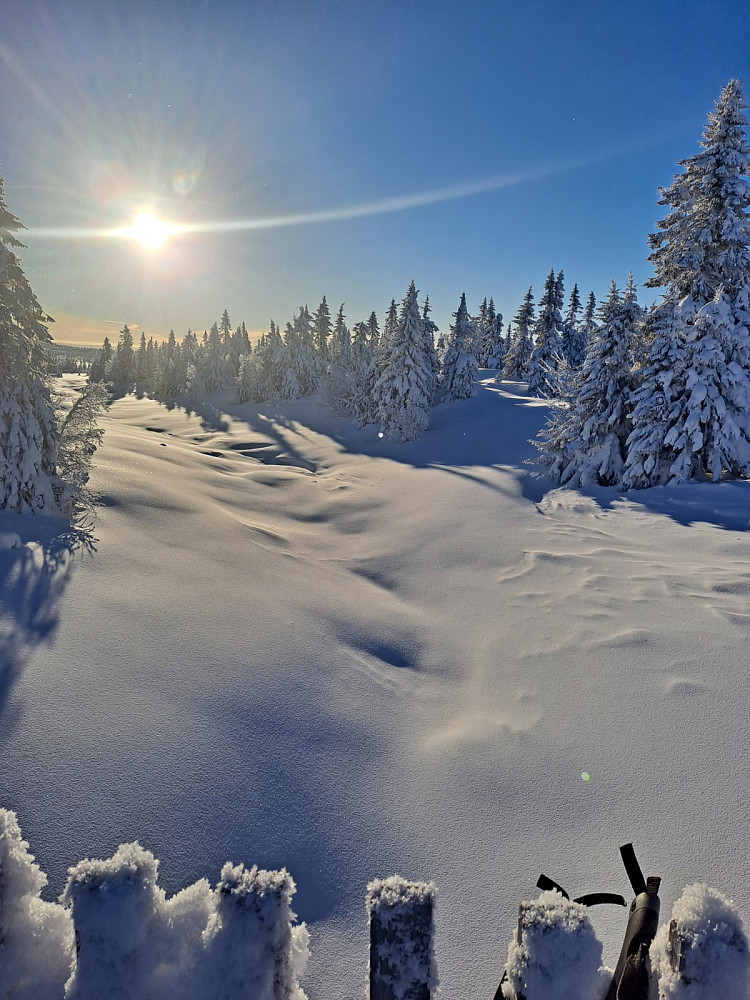 Ved brua over Fjellelva