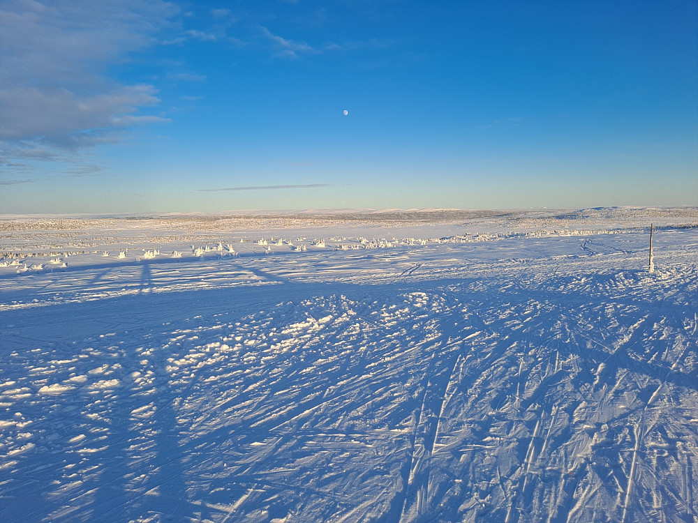 På Lunkefjell