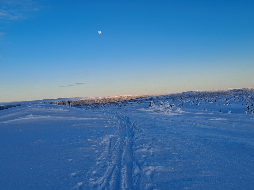 På Sjusjøfjellet øst