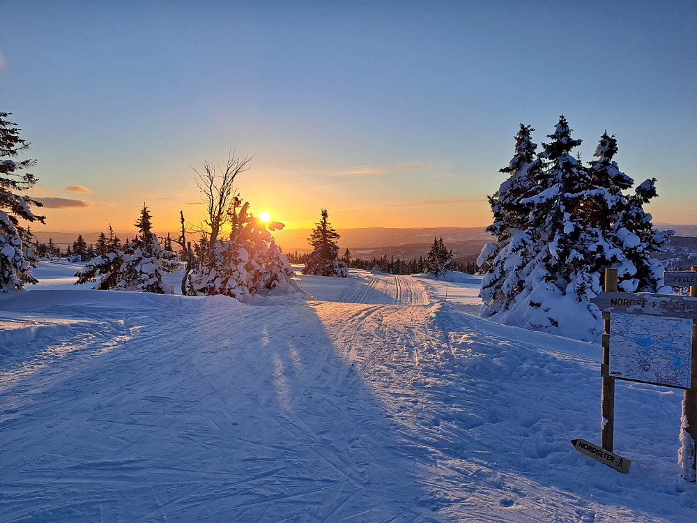 Ved løypekrysset Nordseterfjellet
