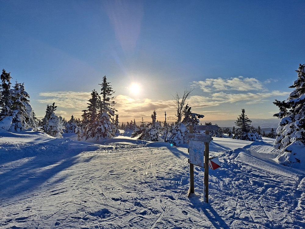 Ved løypekrysset Nordseterfjellet