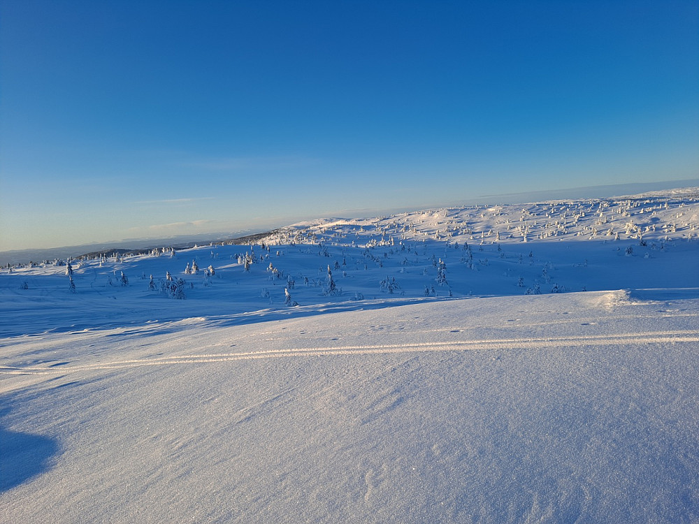 På Sjusjøfjellet øst