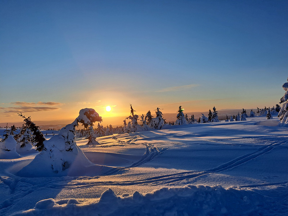 På vei ned fra Lunkefjell
