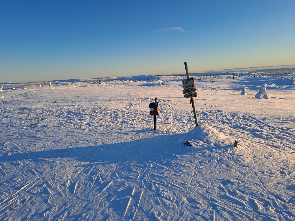 På Lunkefjell