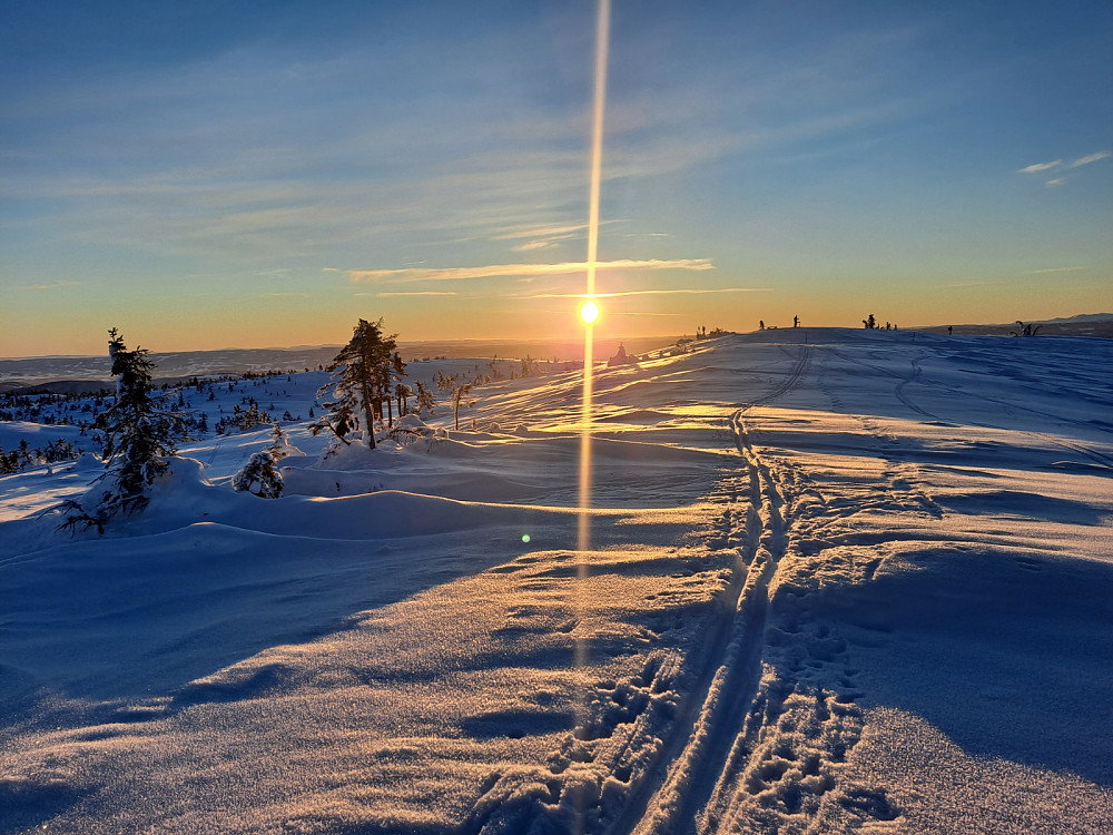 På Sjusjøfjellet øst