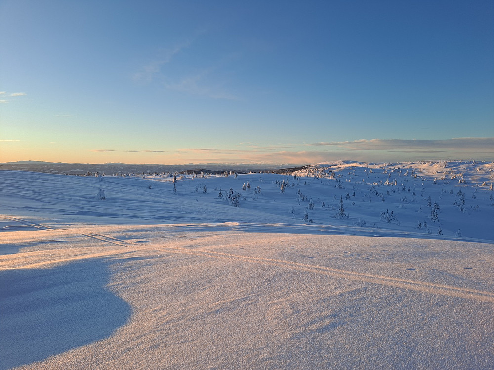 På Sjusjøfjellet øst