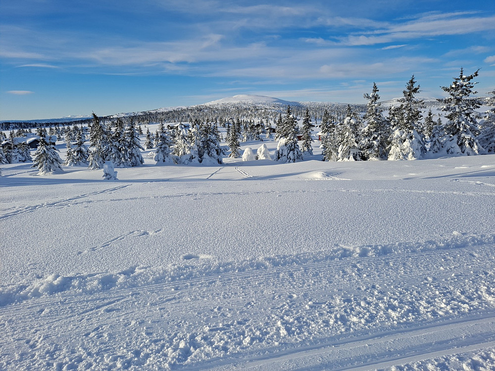 På Nevelåsen