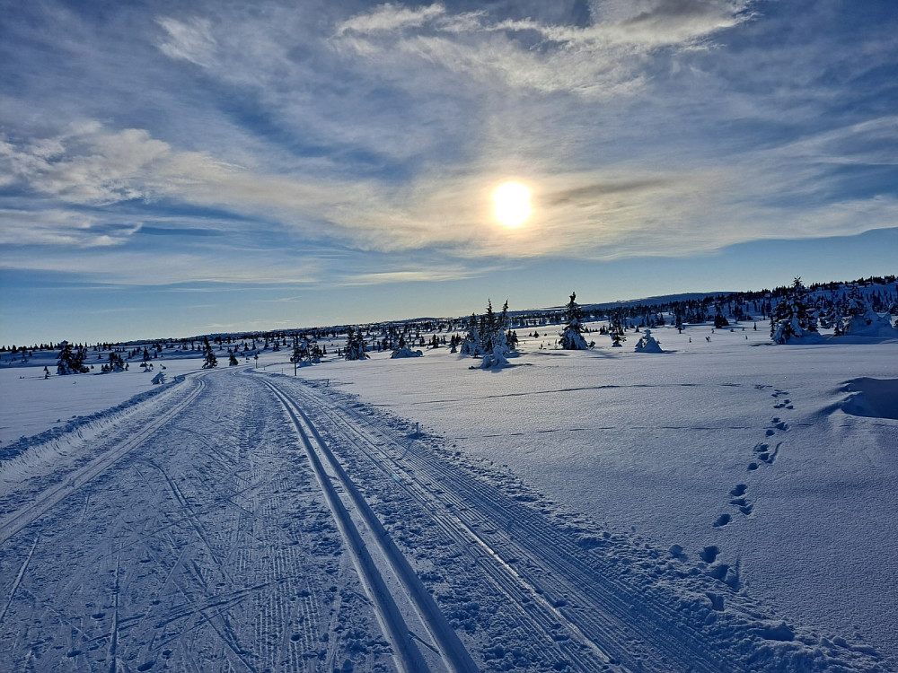 Har akkurat tatt løypa mot Lunkefjell fra Melsjøen