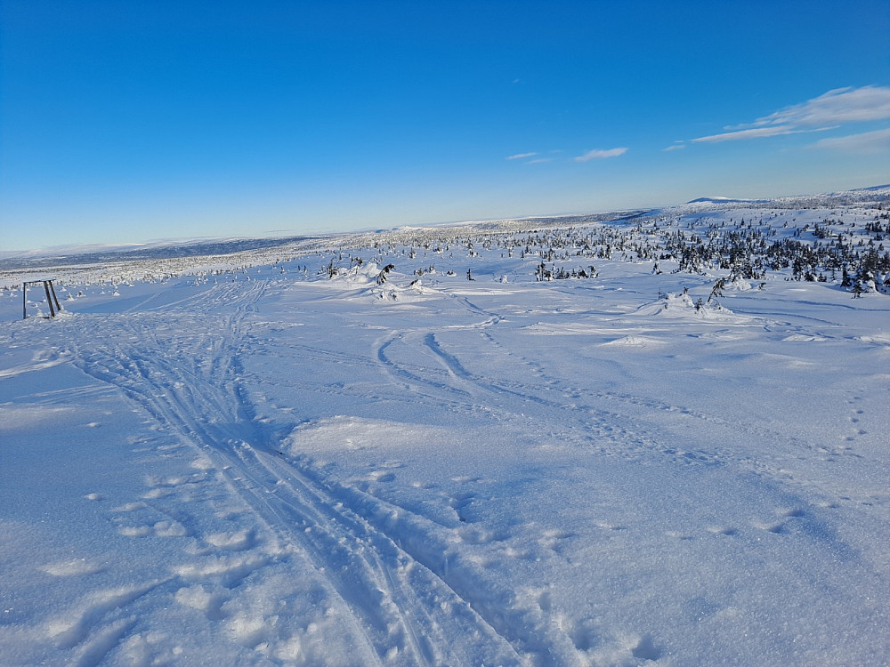 På Sjusjøfjellet øst