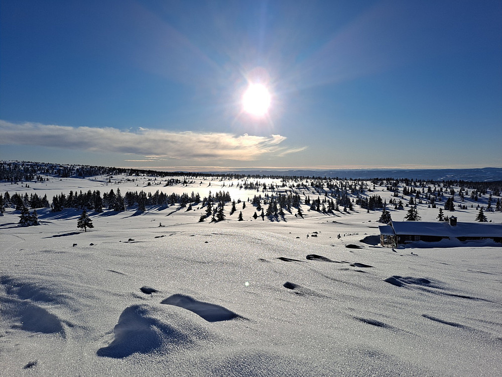 I løypa ved Løvisåsen