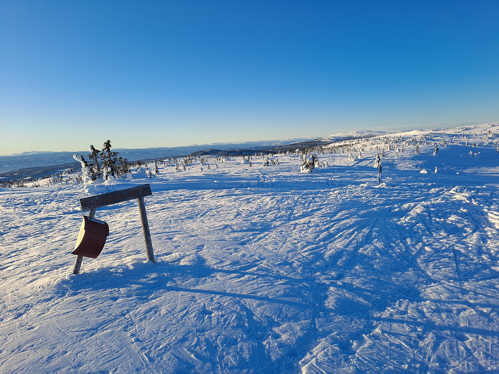 På Sjusjøfjellet