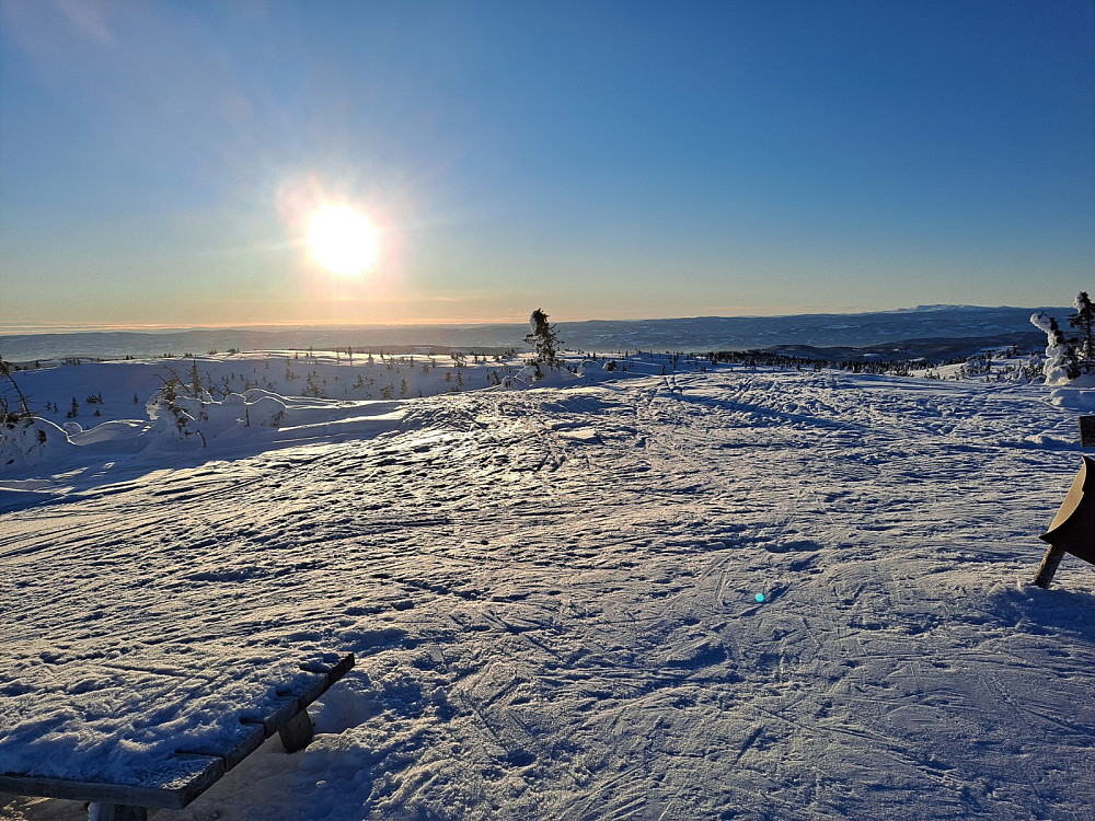 På Sjusjøfjellet