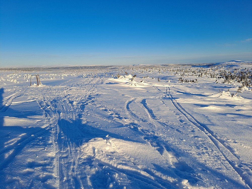 På Sjusjøfjellet øst