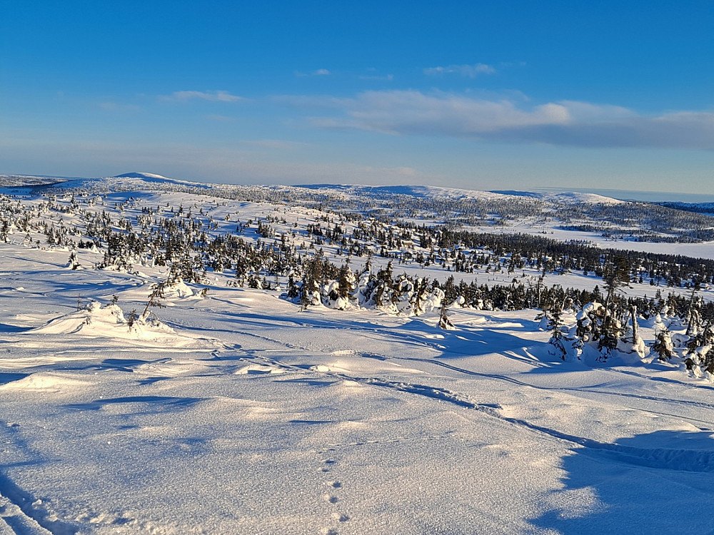 På Sjusjøfjellet øst